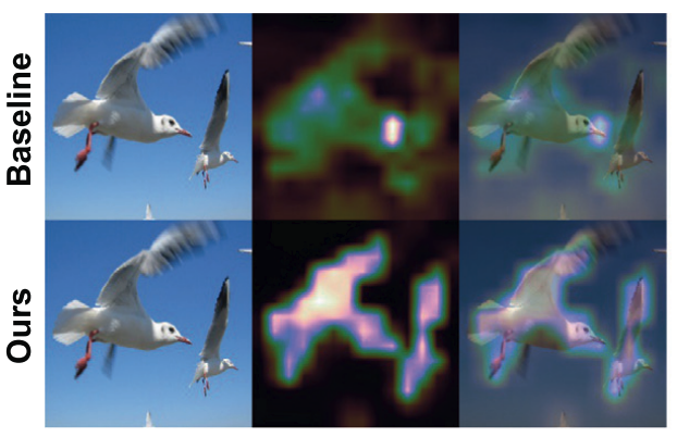 Entropy Regularization for Weakly Supervised Object Localization